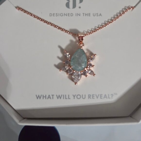 RBP7060 THE SPIDER NECKLACE - Picture 1 of 2